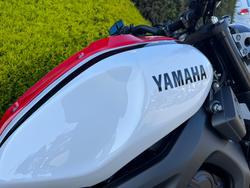 2020 Yamaha XSR900 ABS (MTM850A)