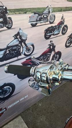 2008 Harley-davidson FXSTC ANV SOFTAIL CUSTOM 105TH ANN ANN COPPER / BLACK