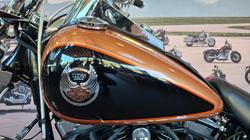 2008 Harley-davidson FXSTC ANV SOFTAIL CUSTOM 105TH ANN ANN COPPER / BLACK