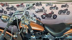 2008 Harley-davidson FXSTC ANV SOFTAIL CUSTOM 105TH ANN ANN COPPER / BLACK