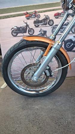 2008 Harley-davidson FXSTC ANV SOFTAIL CUSTOM 105TH ANN ANN COPPER / BLACK