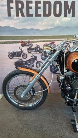 2008 Harley-davidson FXSTC ANV SOFTAIL CUSTOM 105TH ANN ANN COPPER / BLACK