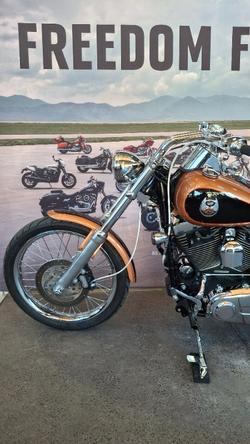 2008 Harley-davidson FXSTC ANV SOFTAIL CUSTOM 105TH ANN ANN COPPER / BLACK