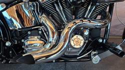 2008 Harley-davidson FXSTC ANV SOFTAIL CUSTOM 105TH ANN ANN COPPER / BLACK