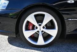 2006 Ford Performance Vehicles
                GT-P 