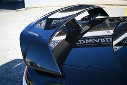 2006 Ford Performance Vehicles
                GT-P 