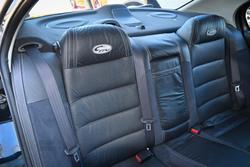 2006 Ford Performance Vehicles
                GT-P 