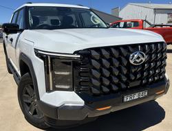 LDV Terron 9
