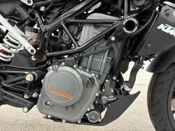 2021 Ktm 390 DUKE White