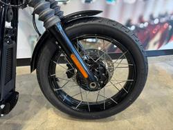 2025 Harley-Davidson Street Bob 117 (FXBB) Softail Black