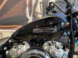 2025 Harley-Davidson Street Bob 117 (FXBB) Softail Black
