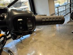 2025 Harley-Davidson Street Bob 117 (FXBB) Softail Black