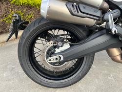 2022 DUCATI SCRAMBLER 1100 Yellow