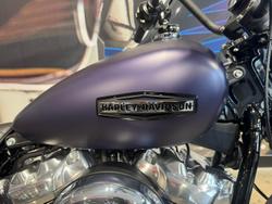 2025 Harley-Davidson Street Bob 117 (FXBB) Softail Purple