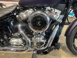 2025 Harley-Davidson Street Bob 117 (FXBB) Softail Purple