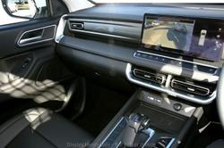 2025 GWM Cannon Premium