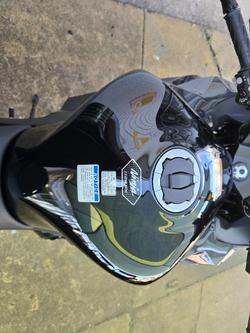 2025 Kawasaki 2025 NINJA 1100SX GREY