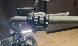 2022 Harley-Davidson Street Bob 114 (FXBBS) Softail Black