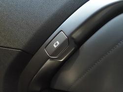 2025 LDV
Terron 9 Origin