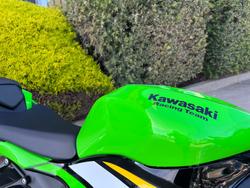 2025 Kawasaki NINJA ZX-6R (636) KRT EDITION Green