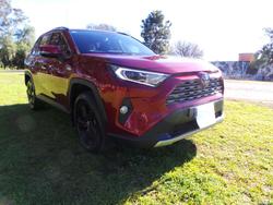 2021 Toyota
RAV4 Cruiser