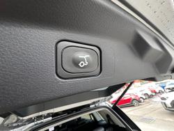 2024 Ford
Everest Trend