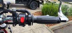 2013 Triumph BONNEVILLE 100 SE