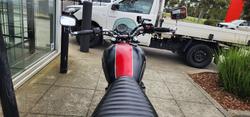 2013 Triumph BONNEVILLE 100 SE
