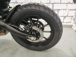 2025 Triumph Scrambler 400 X Scrambler Black