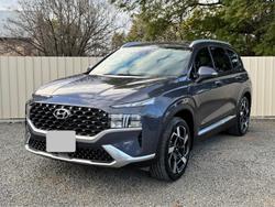 2022 Hyundai
                Santa Fe Elite