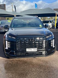 2025 Hyundai
                Palisade Calligraphy Black Ink