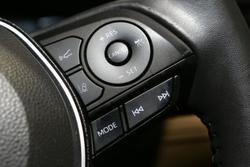 2021 Toyota
                RAV4 Cruiser