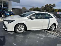 2024 Toyota
                Corolla Ascent Sport Hybrid