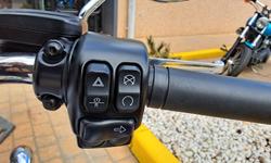 2020 Harley-Davidson Freewheeler 114 (FLRT) Freewheeler Black