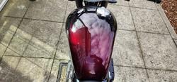 2024 Triumph BONNEVILLE SPEED TWIN 1200 MAROON