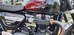 2024 Triumph BONNEVILLE SPEED TWIN 1200 MAROON