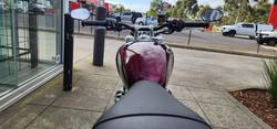 2024 Triumph BONNEVILLE SPEED TWIN 1200 MAROON