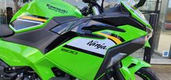2025 Kawasaki NINJA 500 SE (LAMS) GREEN