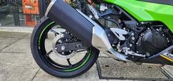 2025 Kawasaki NINJA 500 SE (LAMS) GREEN