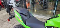 2025 Kawasaki NINJA 500 SE (LAMS) GREEN
