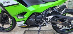 2025 Kawasaki NINJA 500 SE (LAMS) GREEN