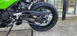 2025 Kawasaki NINJA 500 SE (LAMS) GREEN