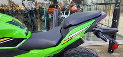 2025 Kawasaki NINJA 500 SE (LAMS) GREEN