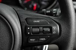 2017 Kia
                Carnival S