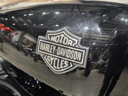 2019 Harley-Davidson Street 500 (XG500) Street Black