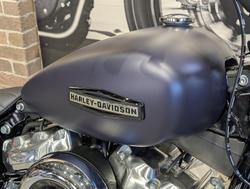 2025 Harley-Davidson Street Bob 117 (FXBB) Softail Purple
