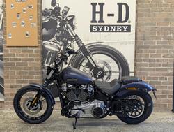 2025 Harley-Davidson Street Bob 117 (FXBB) Softail Purple