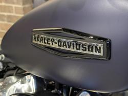 2025 Harley-Davidson Street Bob 117 (FXBB) Softail Purple