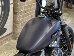 2025 Harley-Davidson Street Bob 117 (FXBB) Softail Purple
