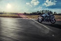 2025 Kawasaki Ninja H2 (ZX1002J) Ninja H2 Silver
